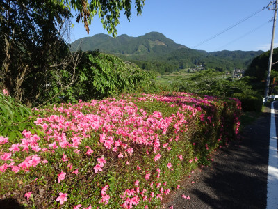 DSC03120