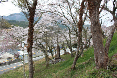 IMG_9604