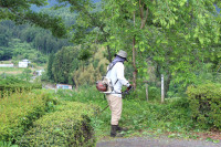 IMG_0860