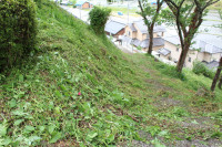 IMG_0895