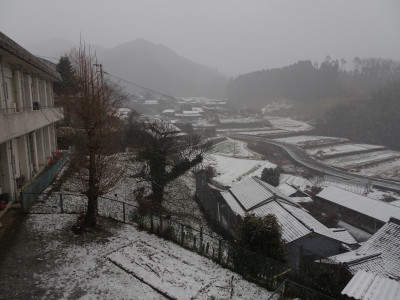 DSC06335