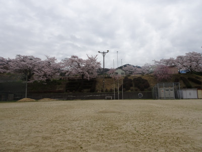 DSC09809