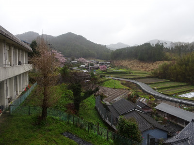DSC00006